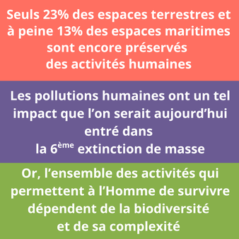 22 biodiversité