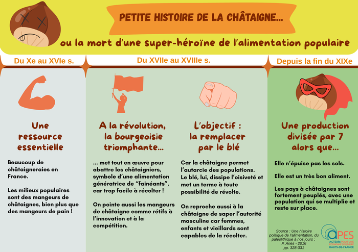 Petite histoire de la châtaigne ou comment est morte une super-héroine de l’alimentation populaire