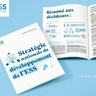 stratégie nationale ESS