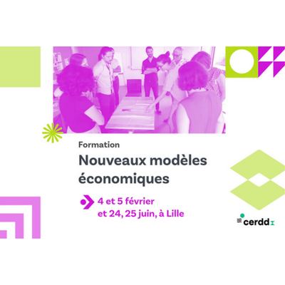 vignette site NME CERDD